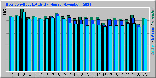 Stunden-Statistik im Monat November 2024