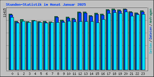 Stunden-Statistik im Monat Januar 2025