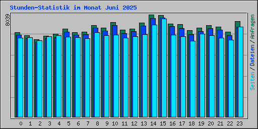 Stunden-Statistik im Monat Juni 2025