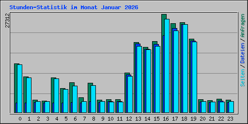 Stunden-Statistik im Monat Januar 2026