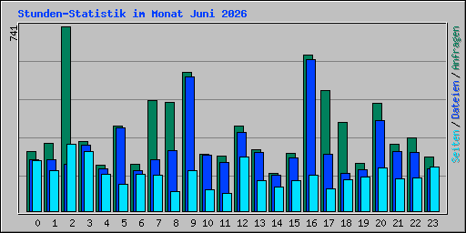 Stunden-Statistik im Monat Juni 2026